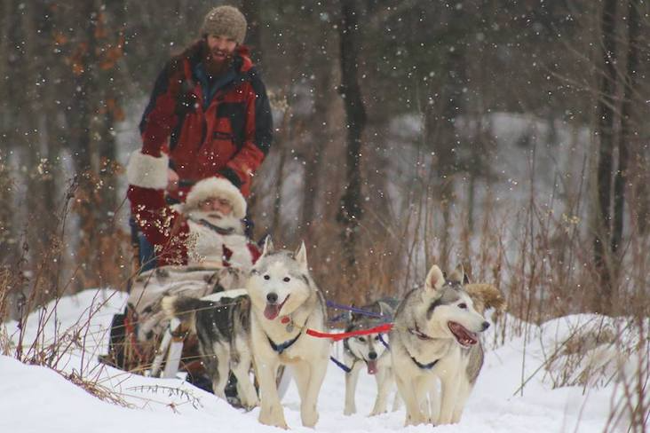 sled dog tours canada