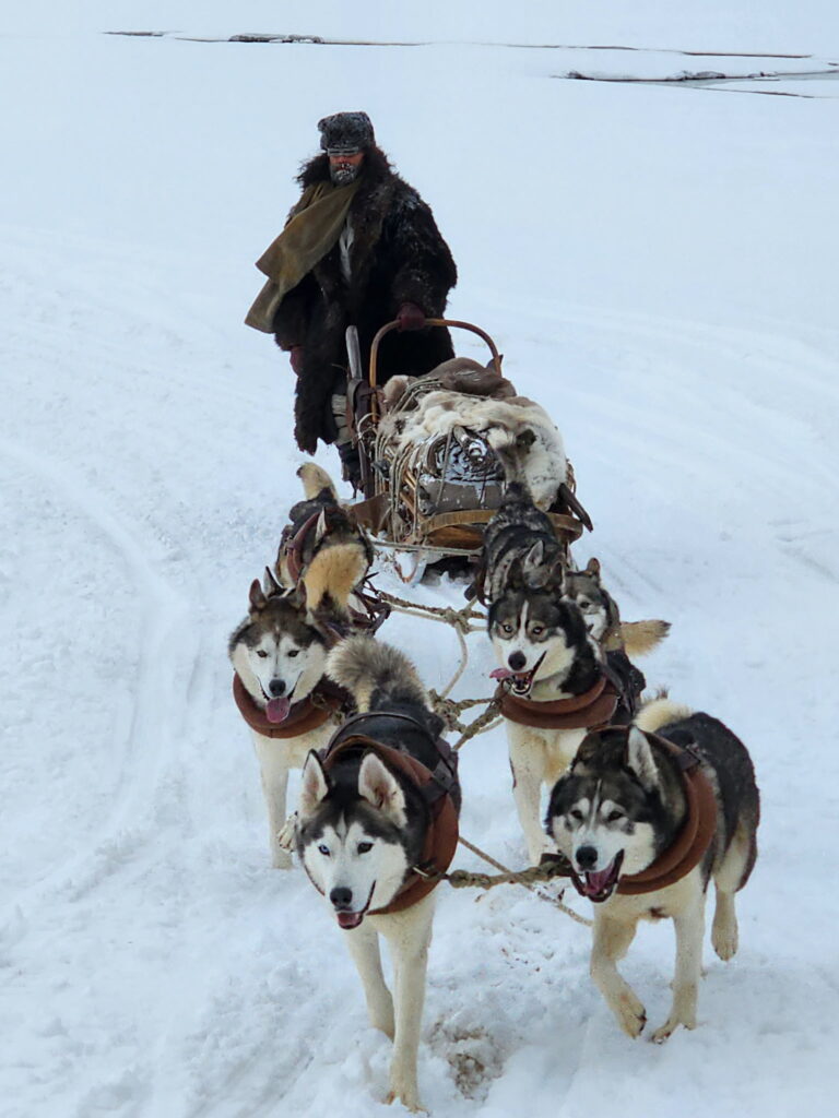 Home - Winterdance Dogsled Tours in Haliburton, Canada