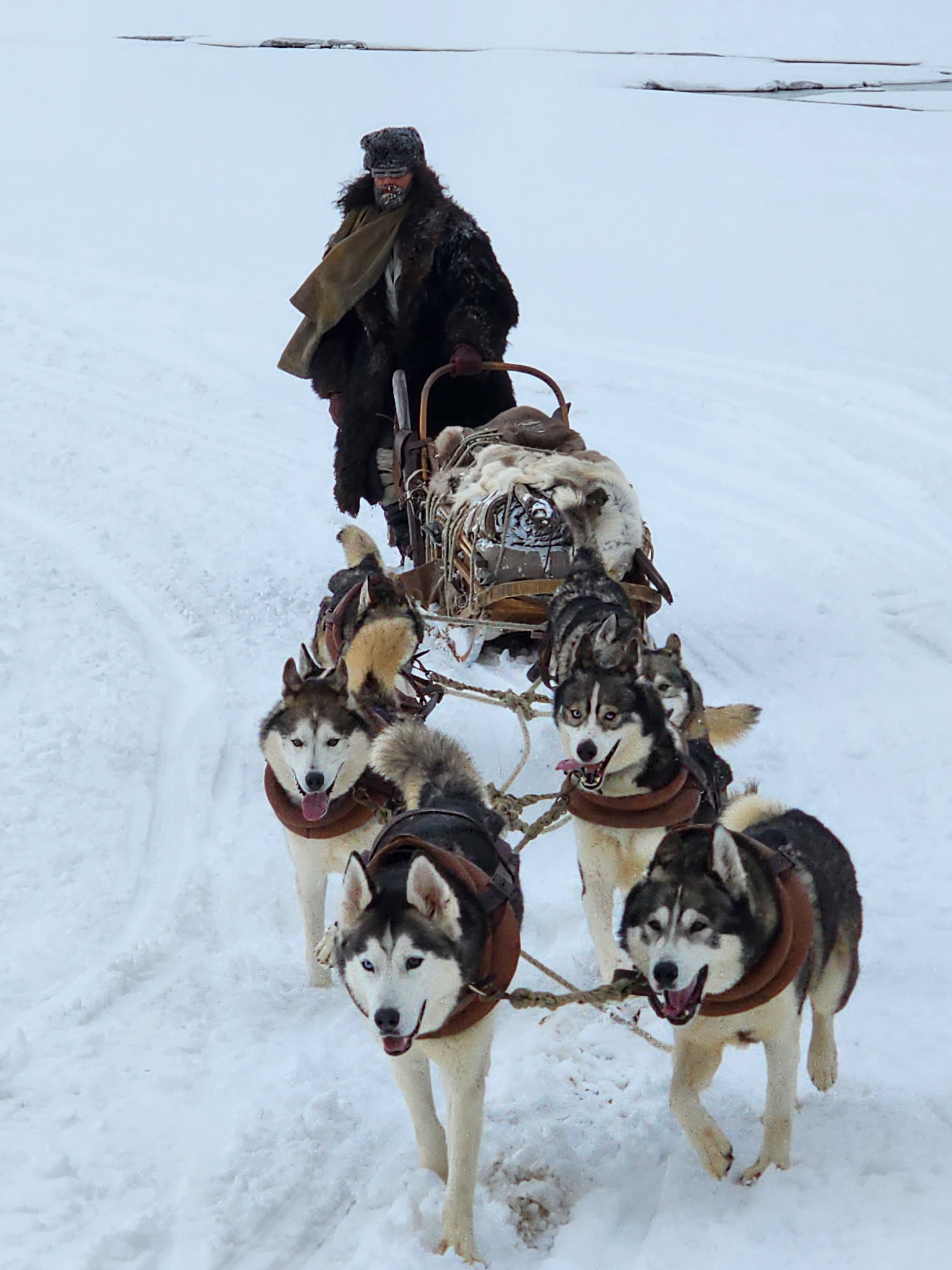 FAQ's - Winterdance Dogsled Tours in Haliburton, Canada